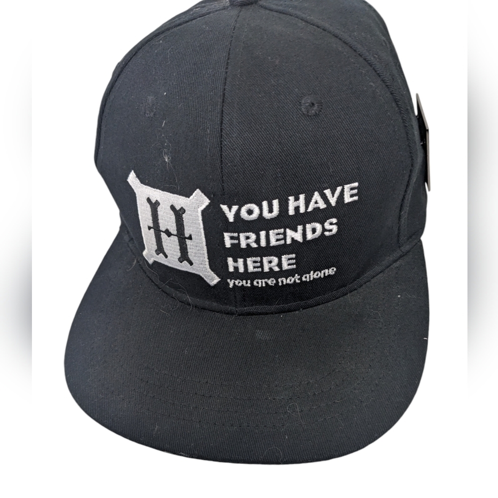 Harry Potter you have friends here griffendor cap hogs head and 9 3/4 pins